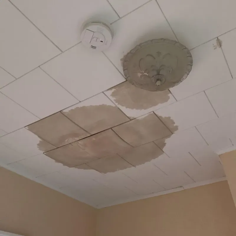 Ceiling Water Damage Repair in Madison County, OH