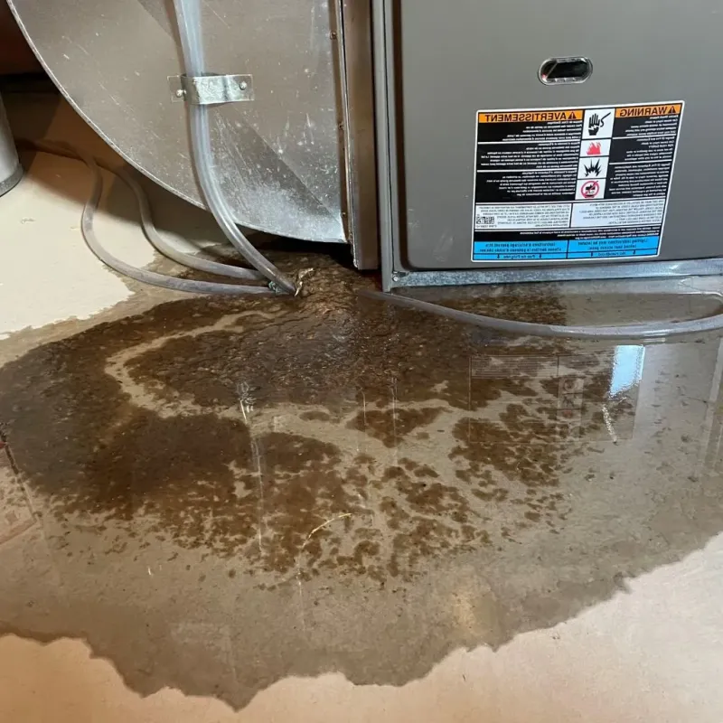 Pipe Burst and Leak Restoration in Madison County, OH