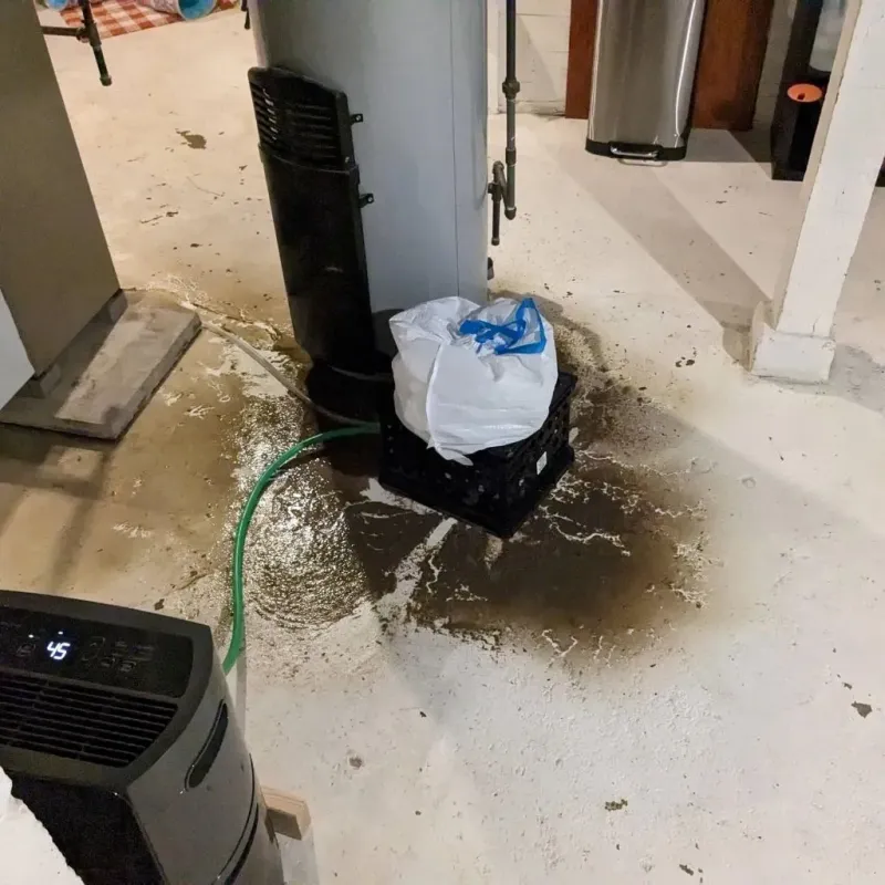 Sewage Backup Cleanup Service in Madison County, OH